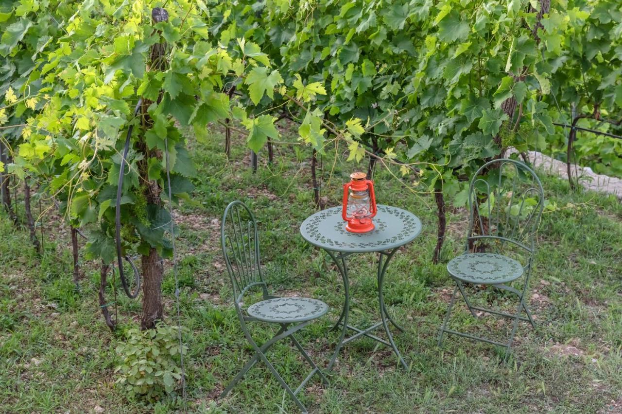 Apartments And Winery Djukovic Virpazar Exterior foto