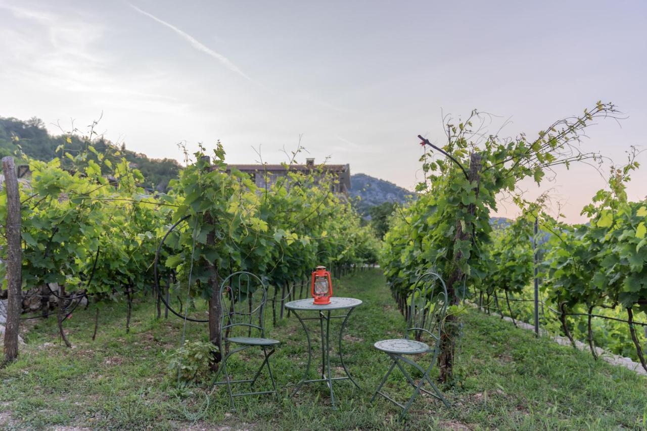 Apartments And Winery Djukovic Virpazar Exterior foto