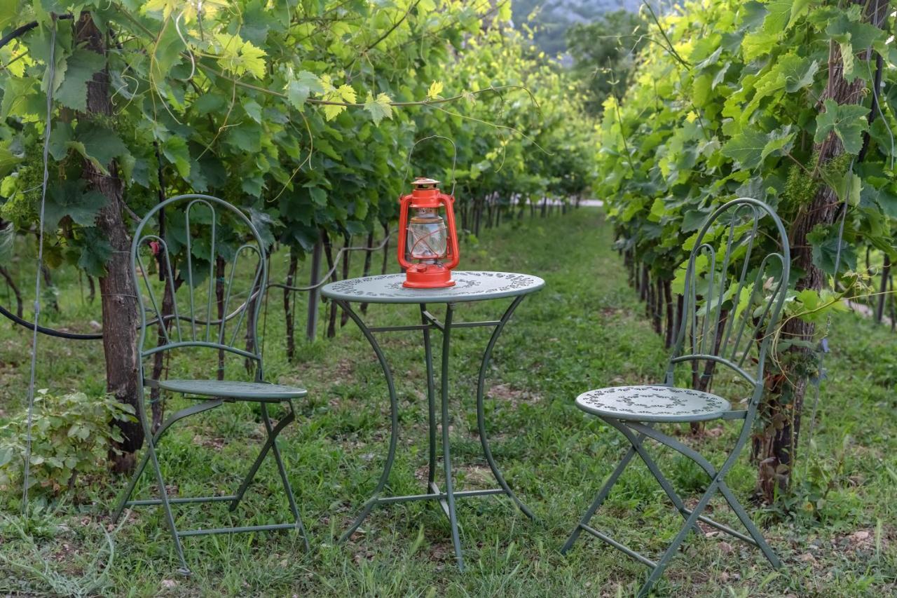 Apartments And Winery Djukovic Virpazar Exterior foto